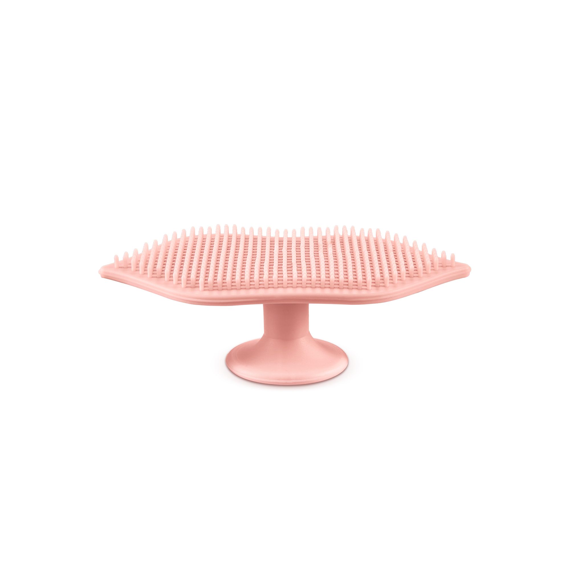 lip-scrubber-1