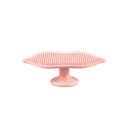 lip-scrubber-1