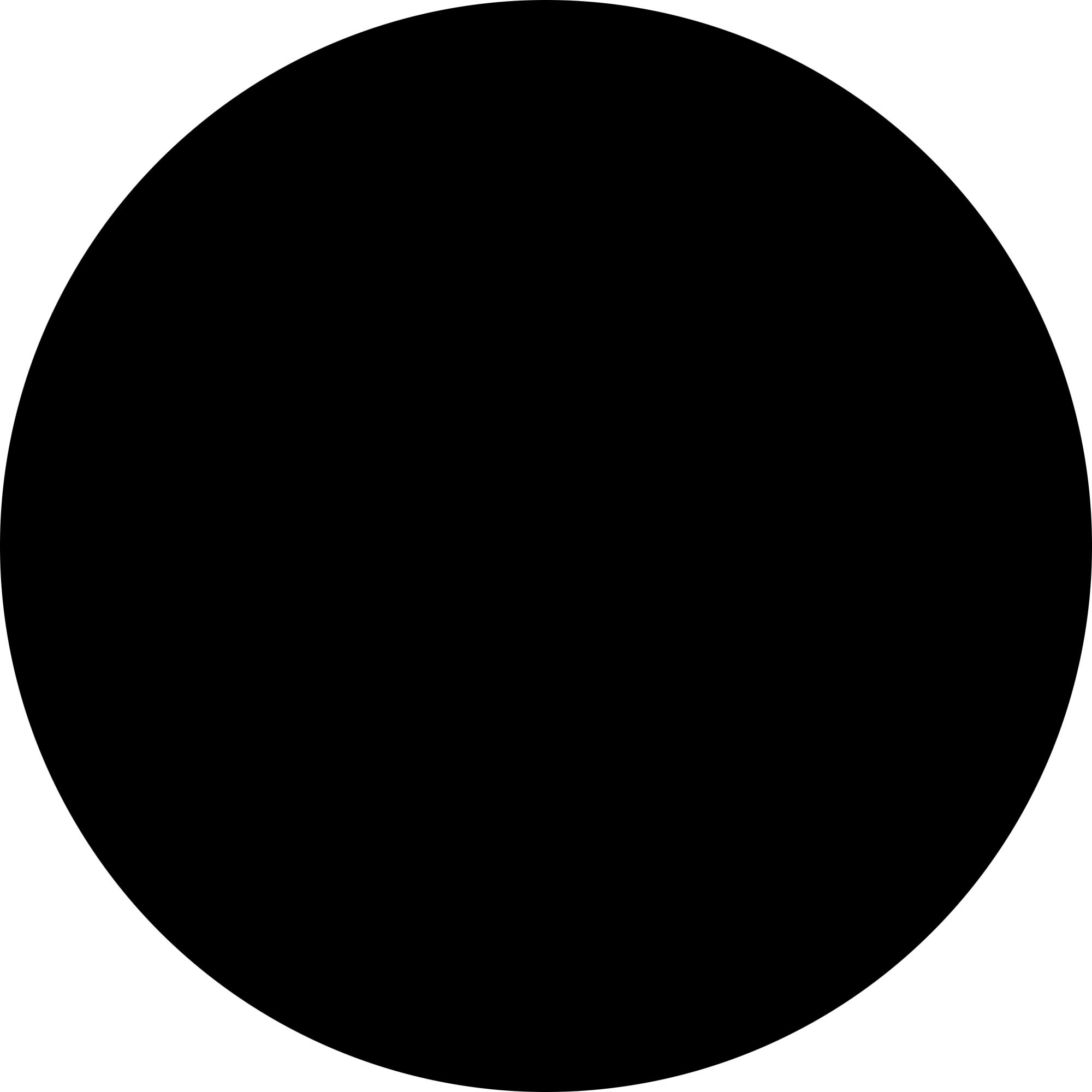 wycon_lash-filter-mascara_0